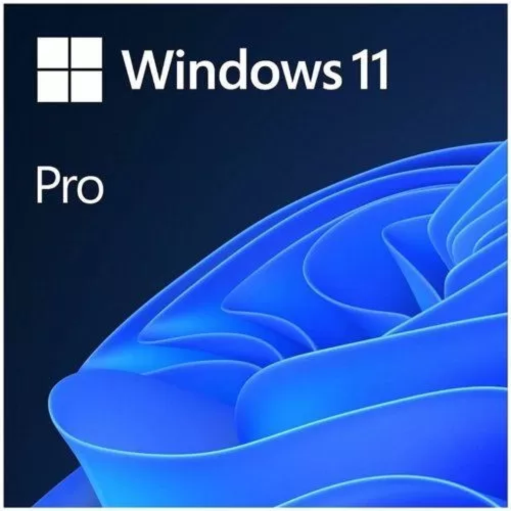 MS WINDOWS 11 PRO 64BIT TR OEM