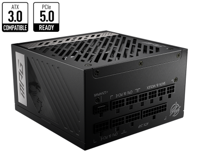 MSI MPG A1000G PCIE5 1000W 80+ GOLD POWER SUPPLY - Güç Kaynakları